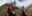 per18-horse-ride-to-machu-picchu-free-mlp per18-horse-ride-to-machu-picchu-free-mlp