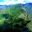 per39-huayna-picchu-free-santuarylodge