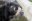 per46-speckeled-bear-free-istock-000001002848