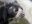 per46-speckeled-bear-free-istock-000001002848