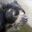 per46-speckeled-bear-free-istock-000001002848
