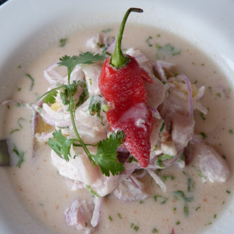 PER_CevicheDN_free