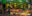 PER_LIM-market_free PER_LIM-market_free