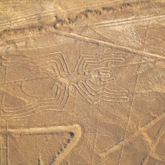 perex002-peru-nascalines-free-istock000005115326 perex002-peru-nascalines-free-istock000005115326