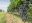 URU_Vineyard_Grapes_shutterstock_129423800_Free