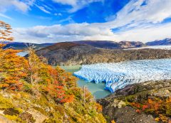 Biodiversity 3 PATAGONIA