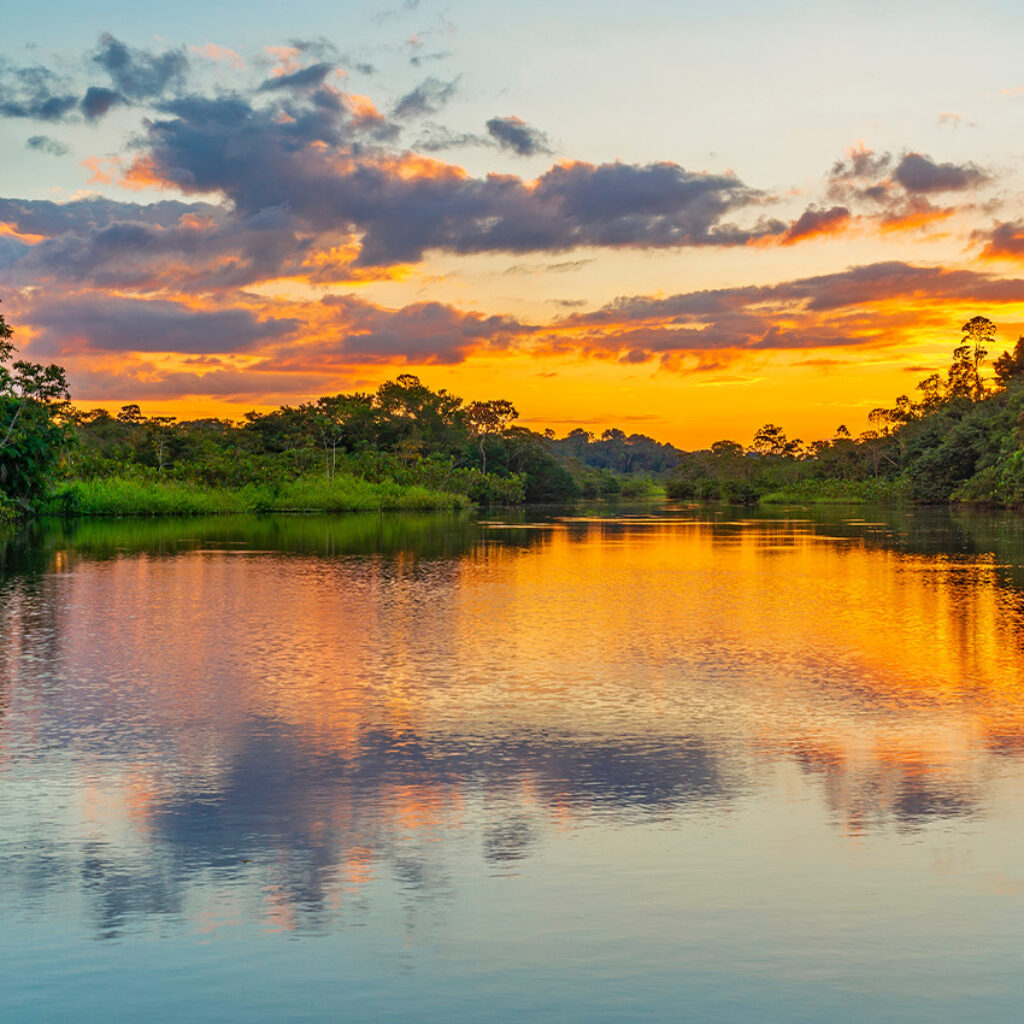 AMAZON RAINFOREST, COLOMBIA