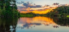 AMAZON RAINFOREST, COLOMBIA