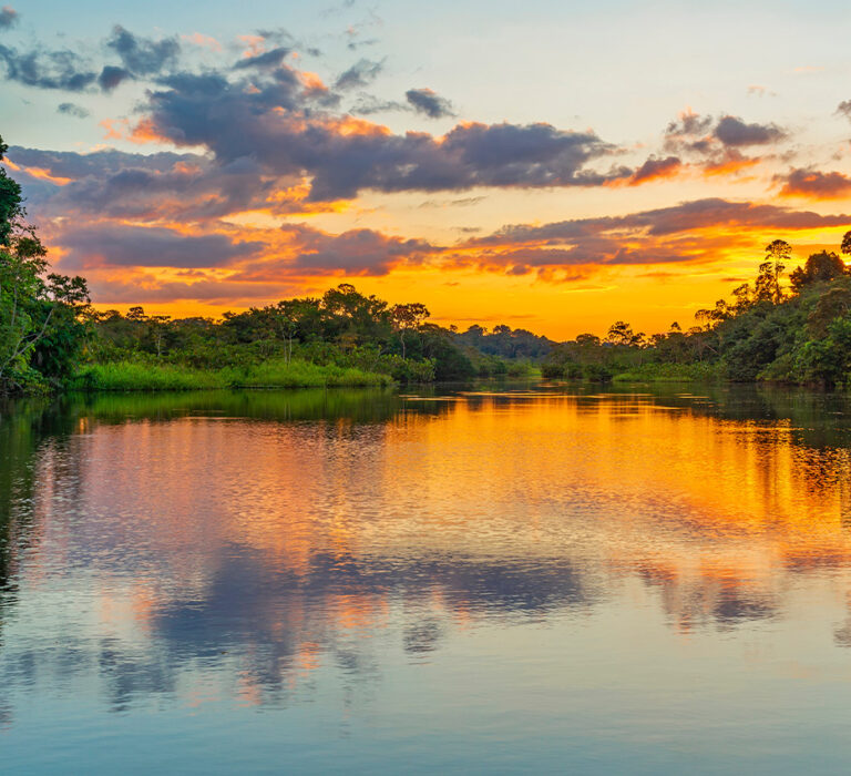 AMAZON RAINFOREST, COLOMBIA