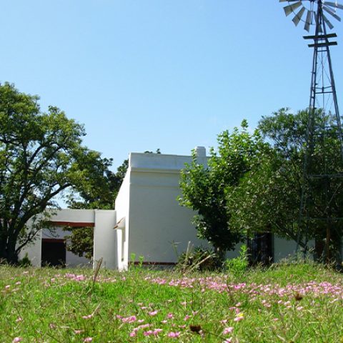 URU_LosPlatanos_Garden
